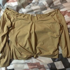 🎢Tan Cropped top🎢